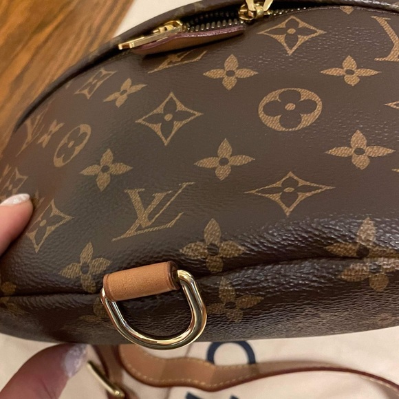 Louis Vuitton Monogram Bumbag - Picture 4 of 16
